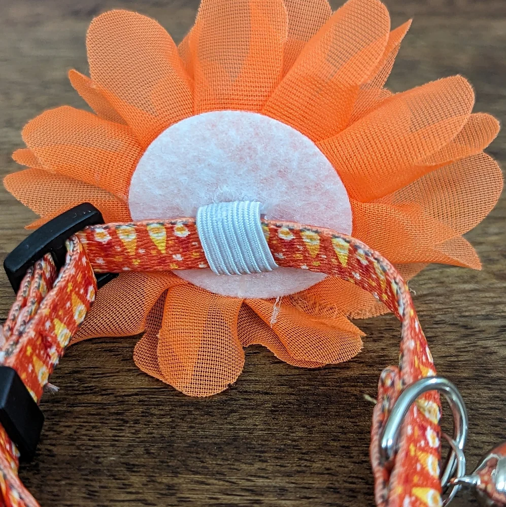 *NWOT* Fall Kitten/Cat Collar Bundle